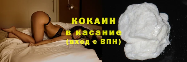 ПСИЛОЦИБИНОВЫЕ ГРИБЫ Горняк