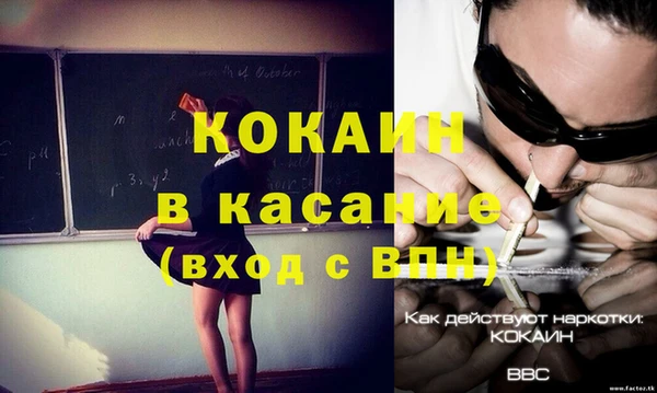 ПСИЛОЦИБИНОВЫЕ ГРИБЫ Горняк