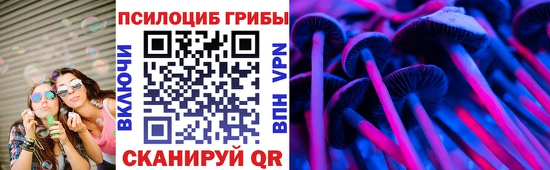 кракен маркетплейс  Приозерск  Псилоцибиновые грибы прущие грибы  наркотики 