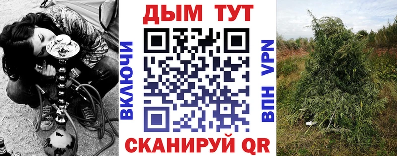 хочу   Приозерск  blacksprut ONION  Конопля конопля 